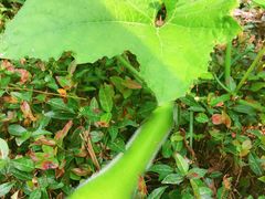 -陶祖圣境风景区