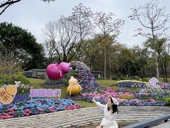 -云溪植物园