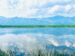 -野鸭湖国家湿地公园