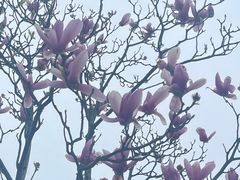 -文华公园(禅城区)