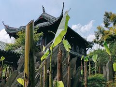 -棠湖公园