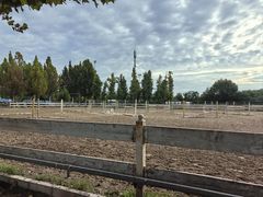 -北京群众马术培训基地