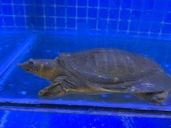 -有藕有鱼·湖北菜(唐家墩店)