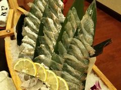 -南京奥林匹克体育中心-体育馆