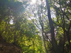 -大岭沟猕猴桃谷风景区