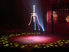 -珠海横琴长隆《卡卡虎奇遇记》