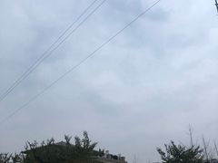 -月圆霖特色农家乐