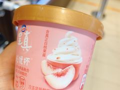 -延长壳牌加油站(长安南路电视塔站)
