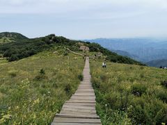 -白草畔自然风景区