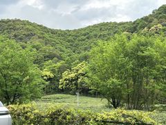 -春娟茶楼·地道农家菜(梅家坞店)