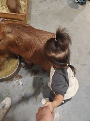 -Zoolung Zoolung动物主题公园(海信广场店)