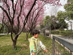 -洨河生态公园