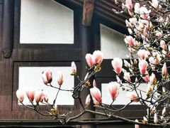 -成都杜甫草堂博物馆