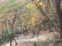 -南京市无想山景区