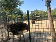 -宿豫区运河湾森林动物园