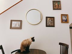 -猫友咖啡店(玉林西路店)