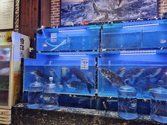 水产区-姜君·千岛湖鱼头馆(浦东大道店)