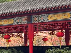 -复旦大学附属中山医院(西院区)