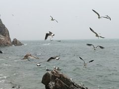 -海驴岛(荣成市)