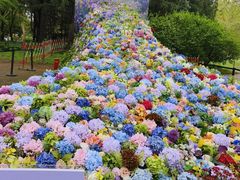 -共青国家森林公园-售票处