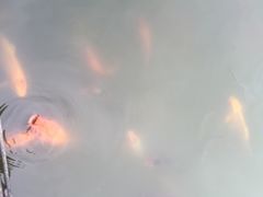 -蠡湖大桥公园