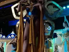 -金东尼人妖秀