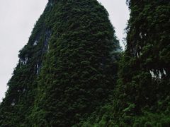 -桂林兴坪漓江