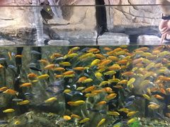 -重庆欢乐海底世界