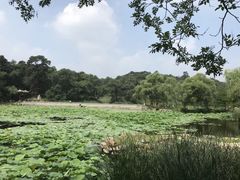 -承德避暑山庄景区