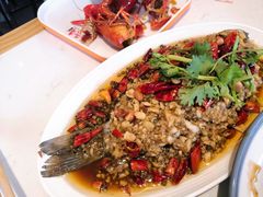 -杨氏青龙虾·羊蝎子(托乐嘉店)