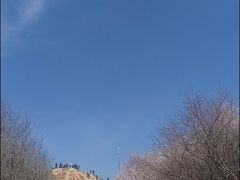 -明秦王墓遗址