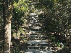 -梧桐山风景名胜区