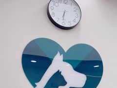 -瑞派康怡24h宠物医院·犬猫医疗中心·微创绝育(瑞景分院)