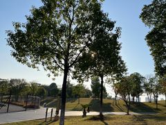 -盘龙城国家考古遗址公园