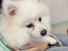 -怪兽屋·羊驼·猫咖·狗咖(俊华广场店)