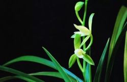 -元泉瑜伽培训学院