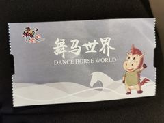 -中国马镇舞马世界主题乐园