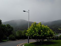 -棒棰岛宾馆景区