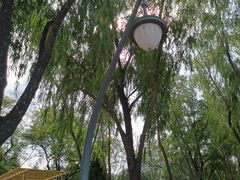 -森林公园(尖草坪区)