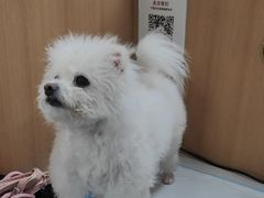 -联合动物医院(光谷诊疗中心)