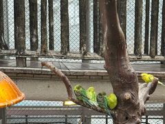 -正佳雨林生态植物园