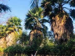 -东寨港红树林旅游区