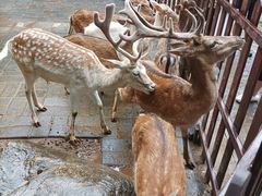 -西安秦岭野生动物园