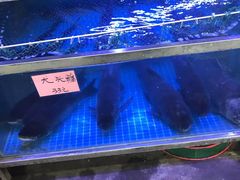 -八仔大富楼·河鲜(西江店)