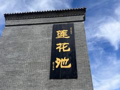 -莲花池公园