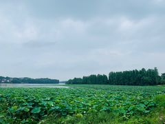 -雅和生态渔庄·宜城锅巴饭(龙灵山公园店)