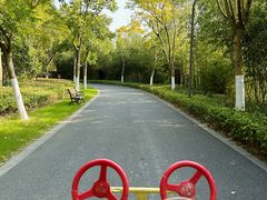 -昆山城市生态森林公园