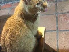 -老宅原住民沙茶面精品小吃(龙头路店)