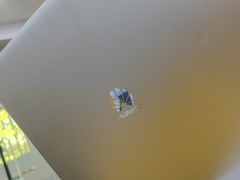 -千米手机电脑维修回收(永清街店)