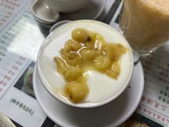莲子双皮奶冻-义顺牛奶公司(新马路老店)